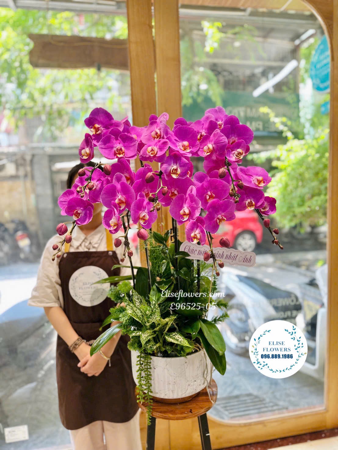 Đặt mua chậu lan hồ điệp tím 7 cành