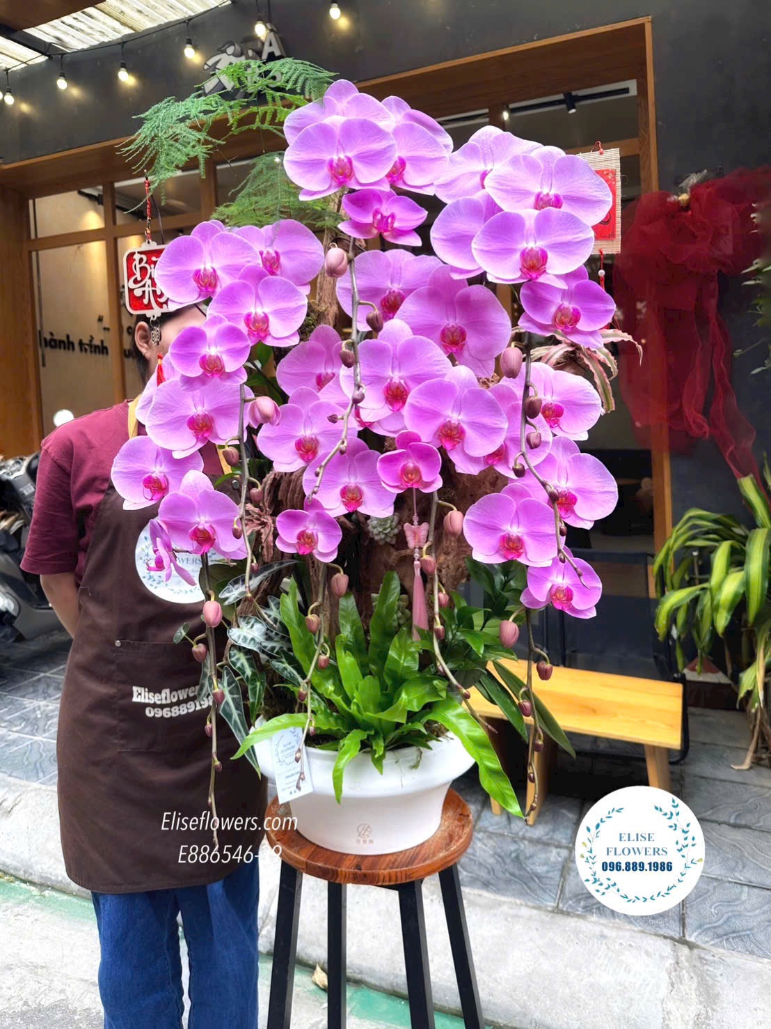 Chậu lan hồ điệp tím sang trọng, cao cấp. Lan hồ điệp Ba Đình. Địa chỉ mua hoa uy tín