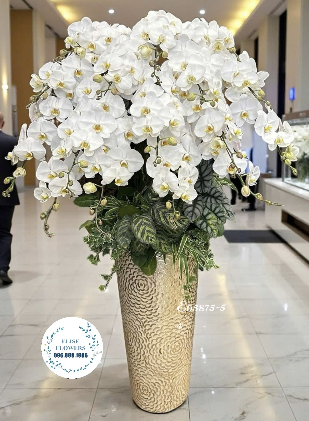 Lan hồ điệp Hà Nội. Hoa chúc mừng giám đốc ở Nam Từ Liêm. Eliseflowers