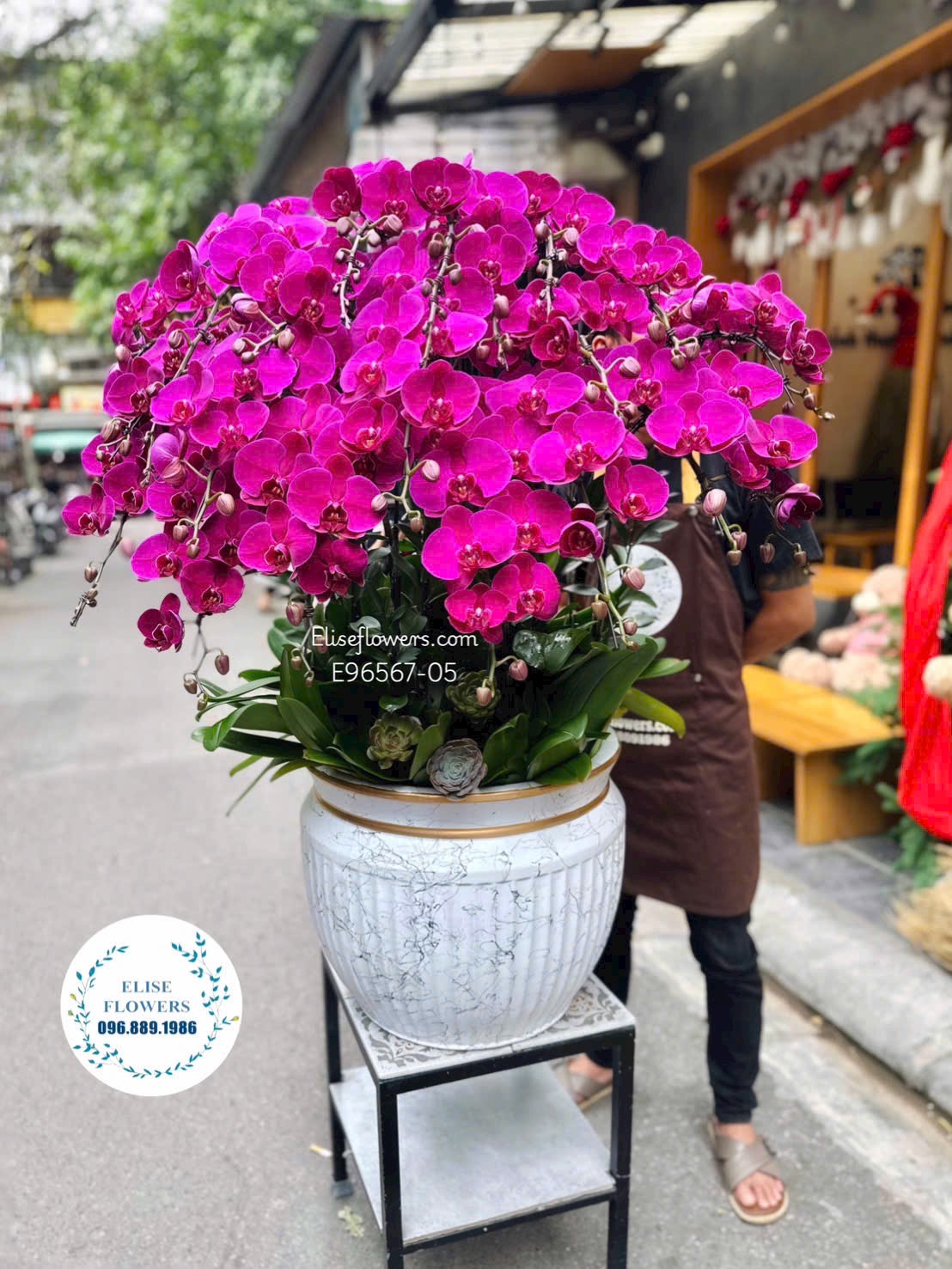 Lan hồ điệp Hà Nội. Chậu lan hồ điệp tím chưng đại sảnh cao cấp. Địa chỉ mua hoa uy tín Eliseflowers