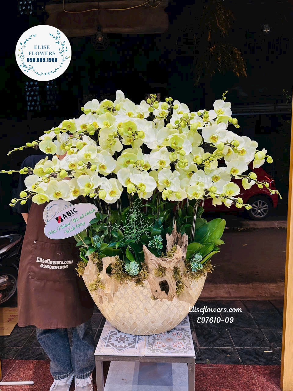 Chậu lan hồ điệp xanh táo cao cấp tại Hà Nội. Điện hoa lan hồ điệp Eliseflowers