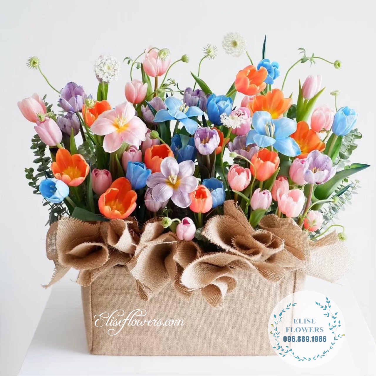 Mua lẵng hoa Tulip tặng sinh nhật đẹpp. Điện hoa Tulip HÀ LAN cao cấp