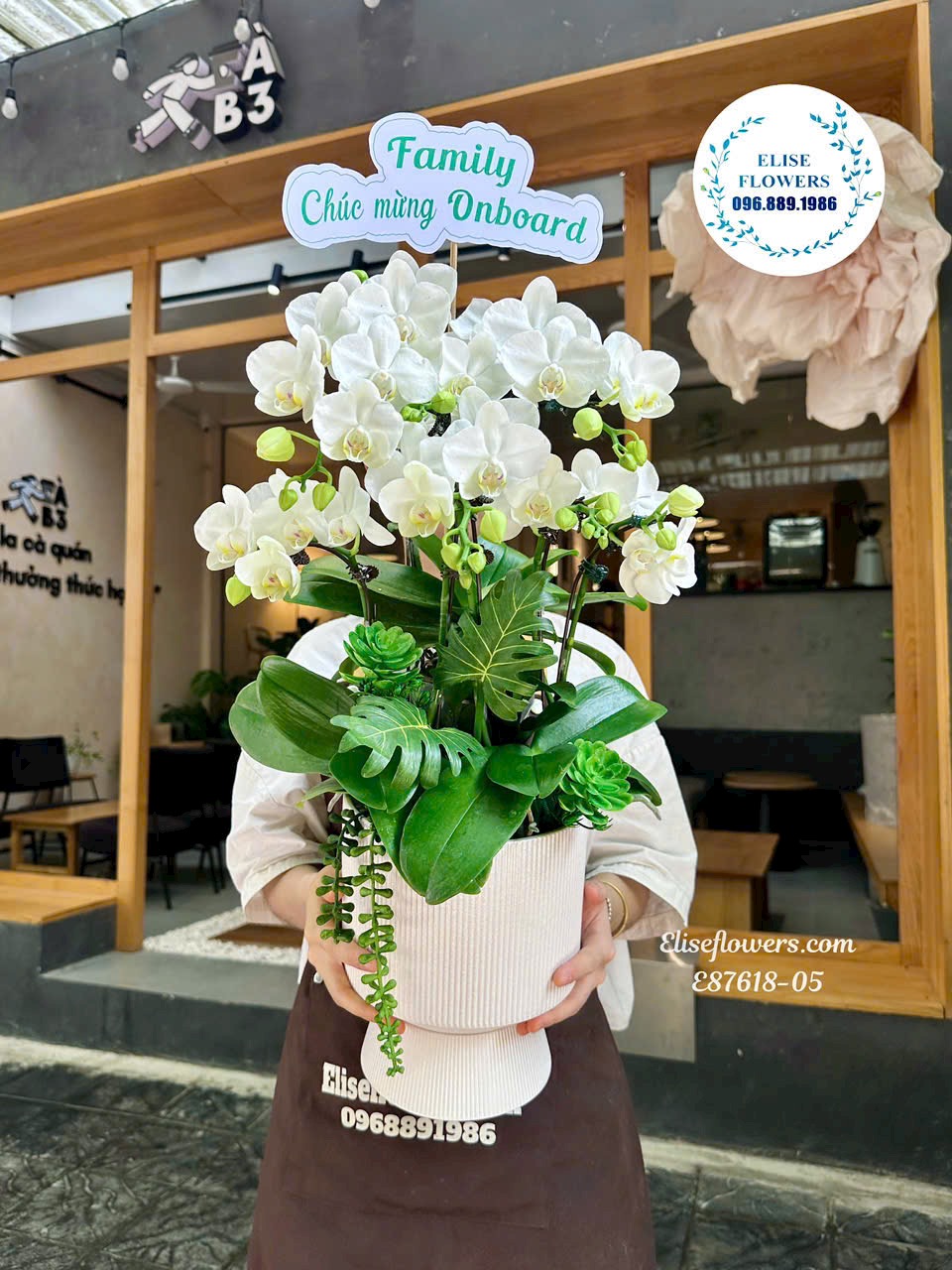 Chậu lan hồ điệp trắng mini để bàn. Shop hoa lan hồ điệp Hà Nội - Eliseflowers