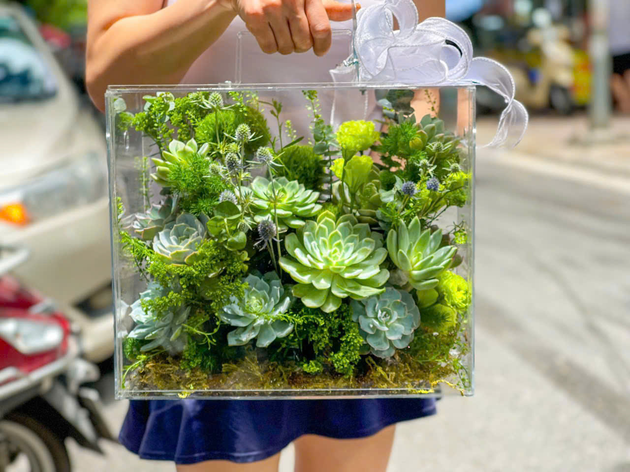 VALI MICA HOA SEN ĐÁ . VALI HOA MICA SEN ĐÁ TẶNG SINH NHẬT Ở HÀ NỘI. HOA SEN ĐÁ HÀ NỘI. Elise flowers