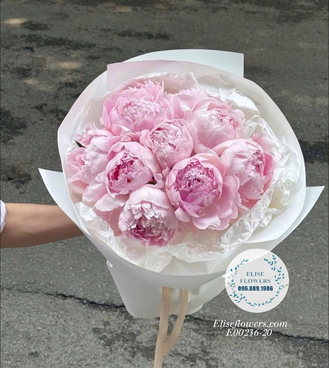Bó Hoa Mẫu Đơn Sarah Hồng Nhập Khẩu Đẹp Tại Cầu Giấy | Eliseflowers
