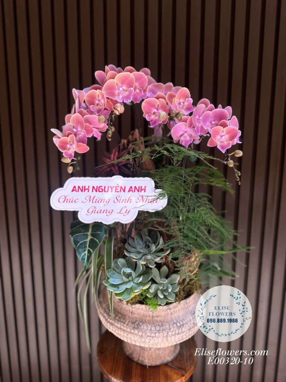 Chậu Lan Hồ Điệp Màu Hồng Cam Độc Đáo - Quà Tặng Sinh Nhật Cao Cấp