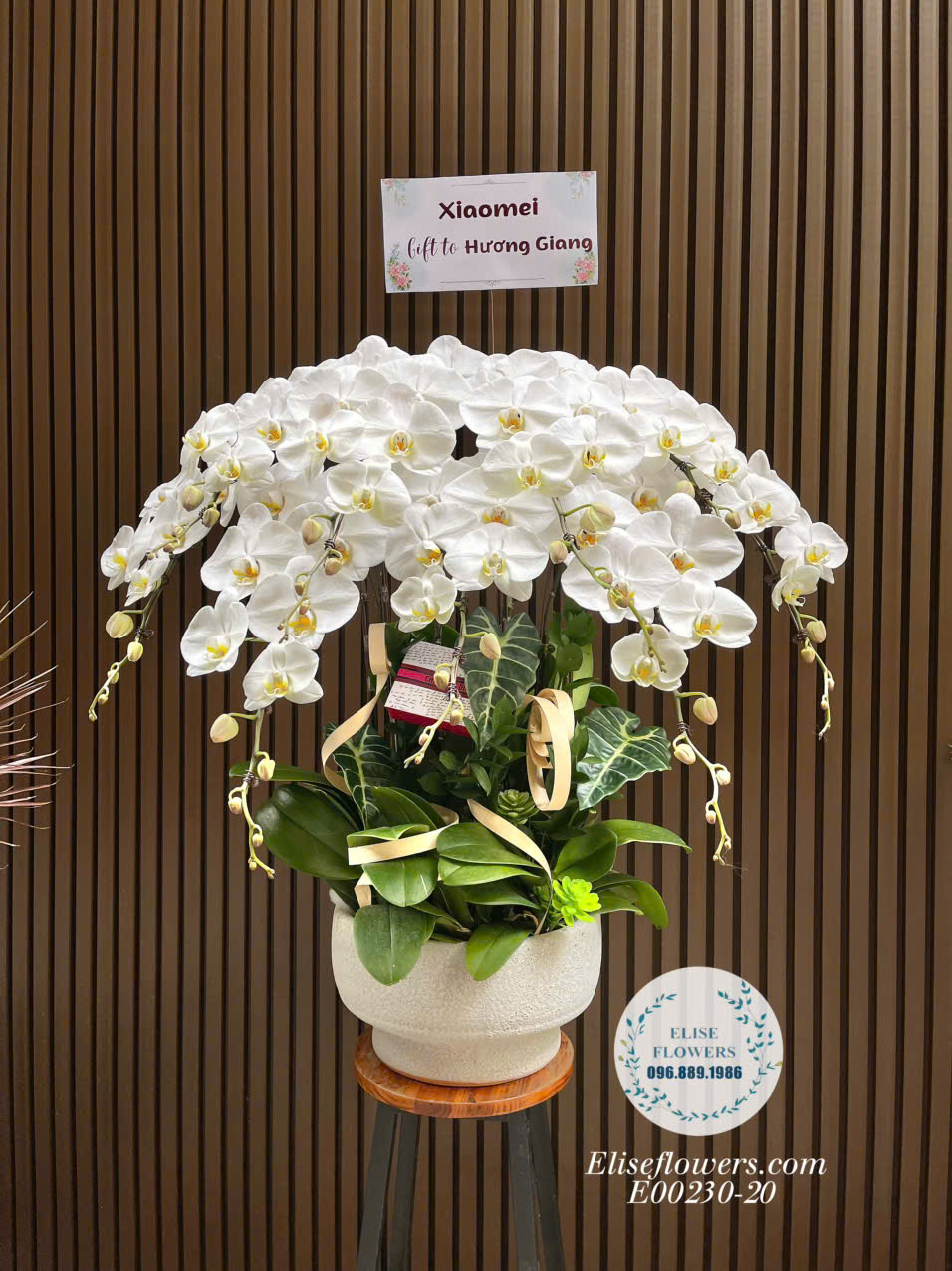 Chậu Lan Hồ Điệp Trắng 9 Cành Cao Cấp - Elise Flowers Cầu Giấy