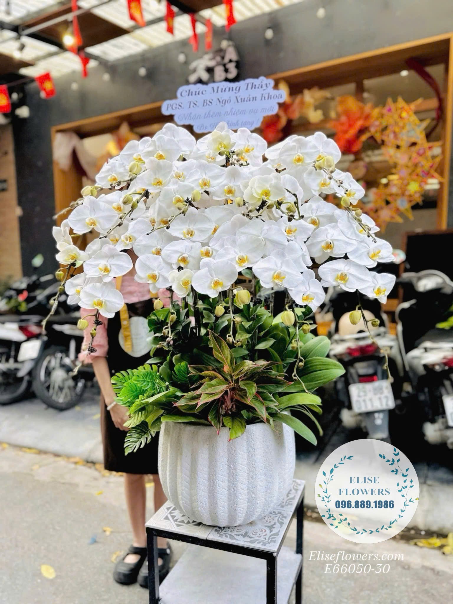 Hoa lan hồ điệp Hà Nôi. Shop hoa lan hồ điệp uy tín tại Hà Nội