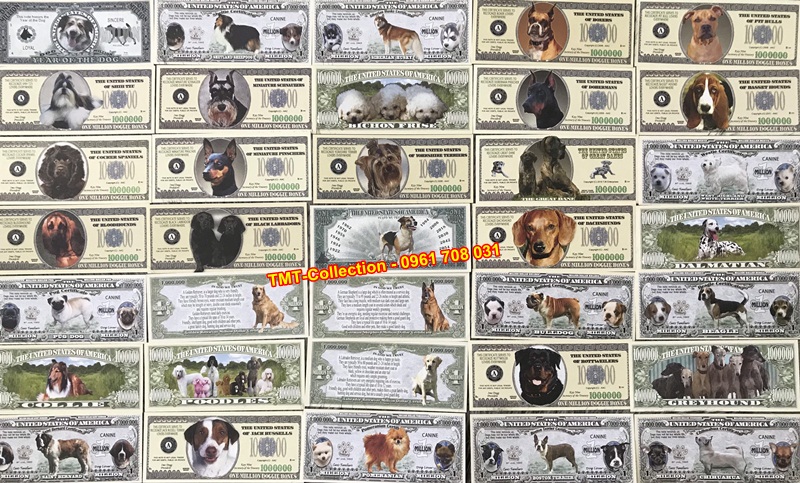 Bộ tiền play money 35 tờ về các loại chó khác nhau