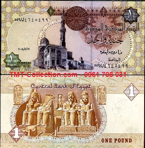 Egypt - Ai Cập 1 Pound 2008 UNC (tờ)