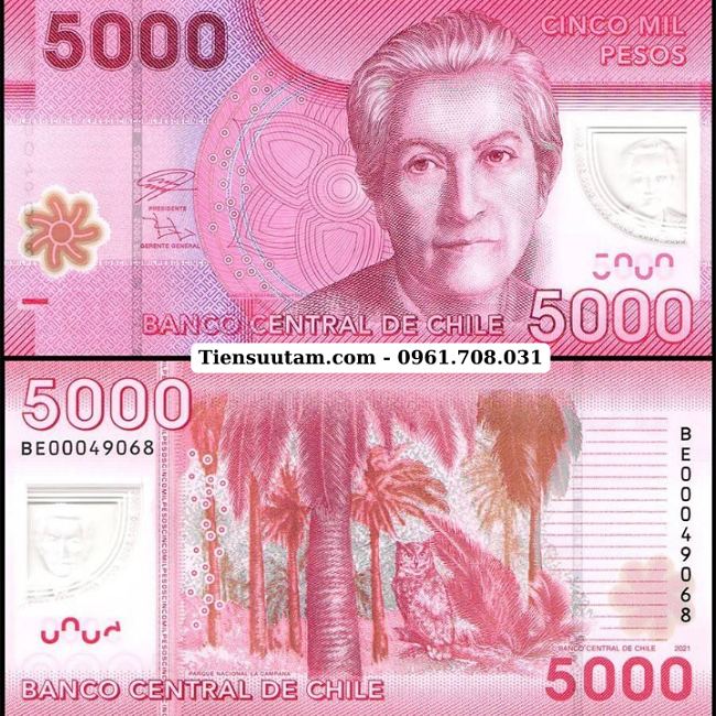 Chile 5000 Pesos 2021 UNC Polyme - SP008049