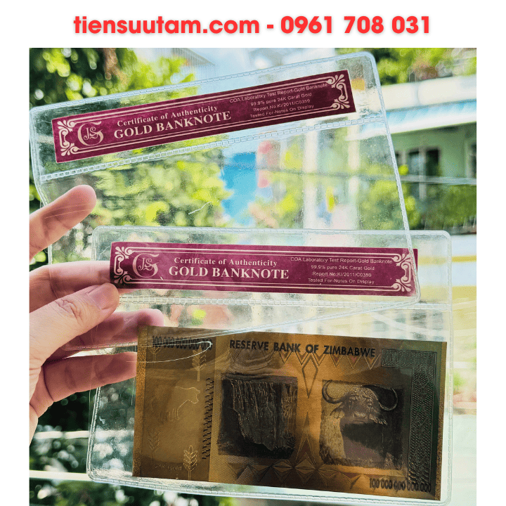 Chứng nhận bọc tiền mạ vàng bằng nhựa