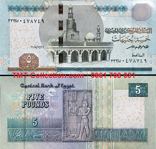 Egypt - Ai Cập 5 Pound 2013 UNC (tờ)
