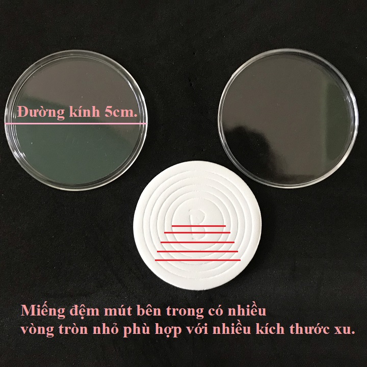 Hộp 20 capsule tròn - TMT Collection.com