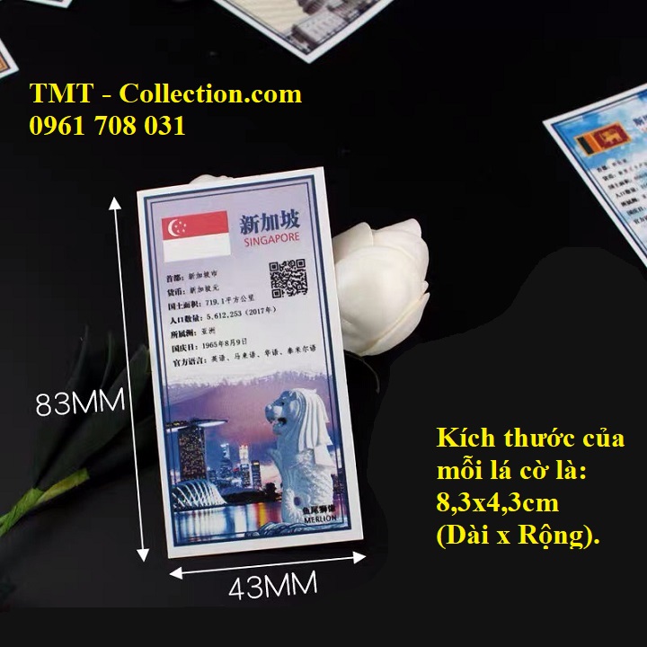 Bộ cờ 150 nước gắn vào phơi - TMT Collection.com