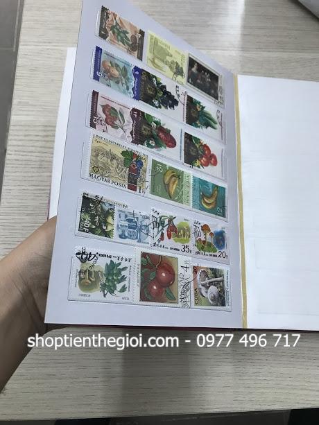 Album đựng 500 con tem của Việt Nam
