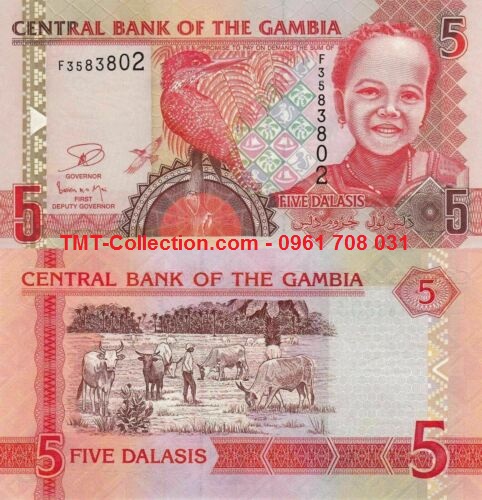 Gambia 5 Dalasis 2013 UNC (tờ)