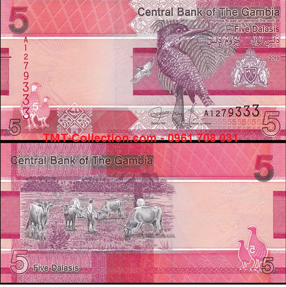 Gambia 5 Dalasis 2019 UNC