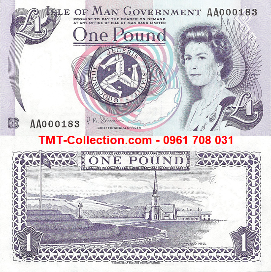 Isle Of Man 1 pound 1991