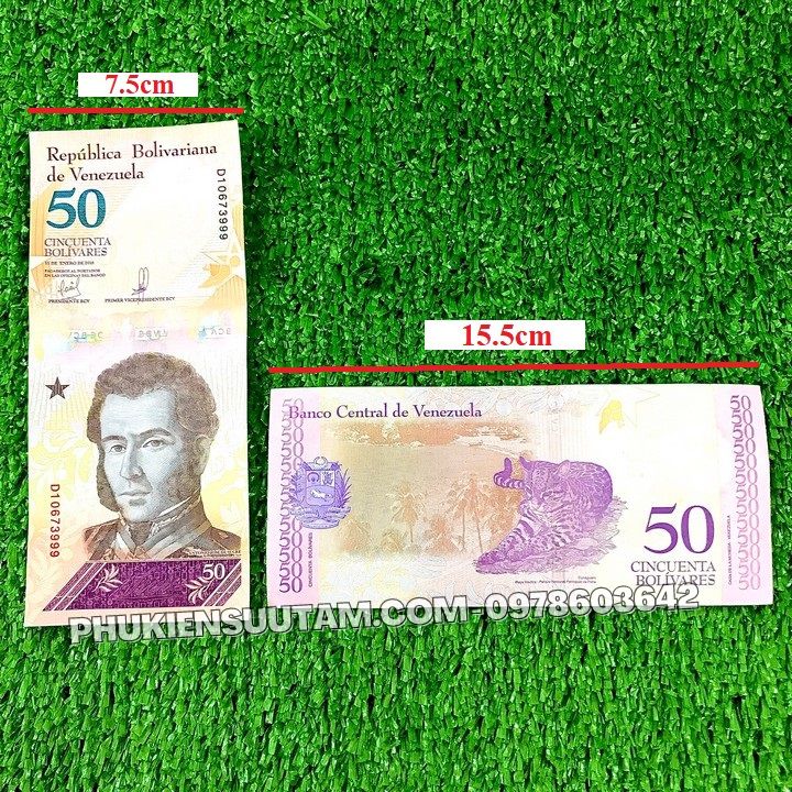 Tiền Lì Xì Tết Hình Con Mèo của Venezuela - Phukiensuutam.com