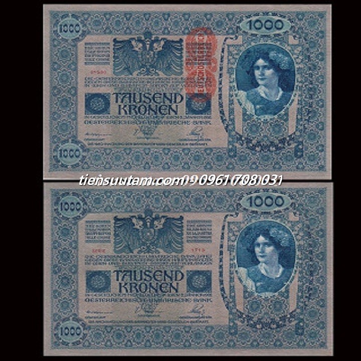 Austria - Đế Quốc Áo Hung 1000 kronor 1902 VG