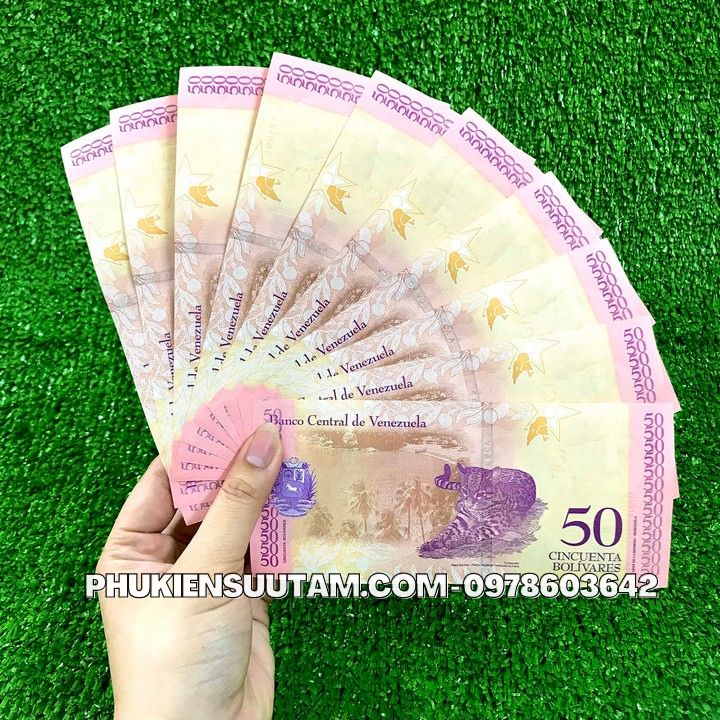 Tiền Lì Xì Tết Hình Con Mèo của Venezuela - Phukiensuutam.com