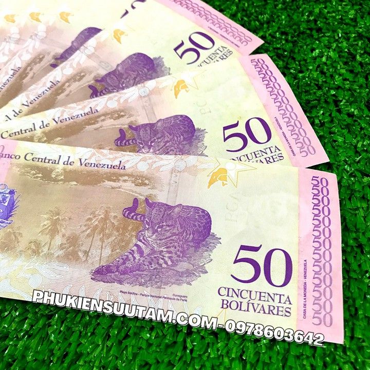 Tiền Lì Xì Tết Hình Con Mèo của Venezuela - Phukiensuutam.com
