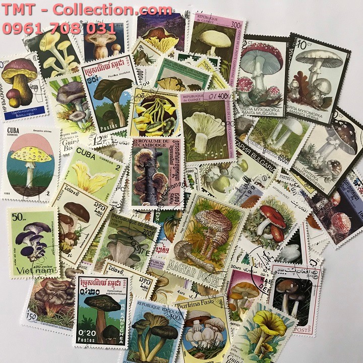 Bộ tem sưu tầm 100 tem chủ đề Nấm​​​​​​​​​​​​​​  - TMT Collection.com