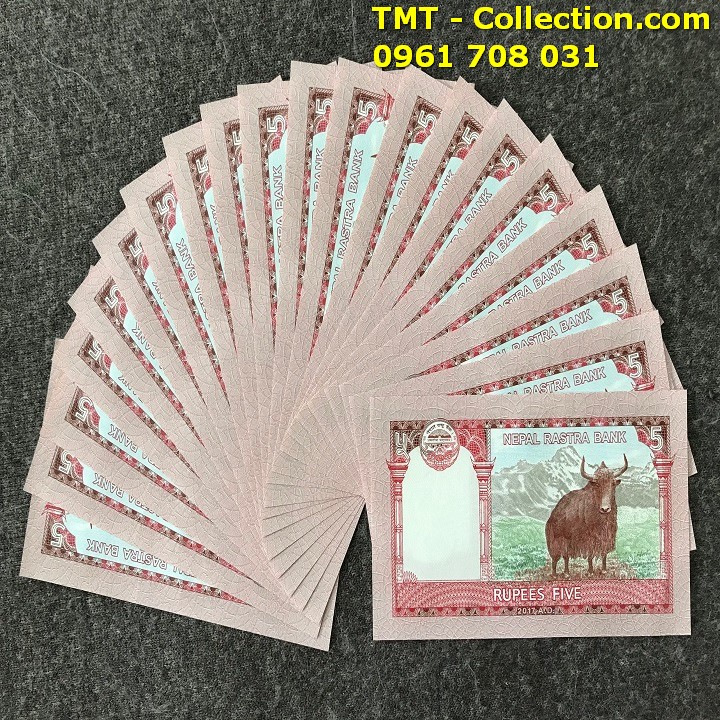 Tiền Con Trâu Nepal - TMT Collection.com