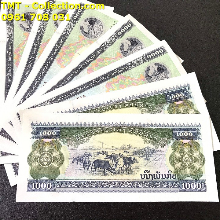 Tiền Con Trâu Lào - TMT Collection.com