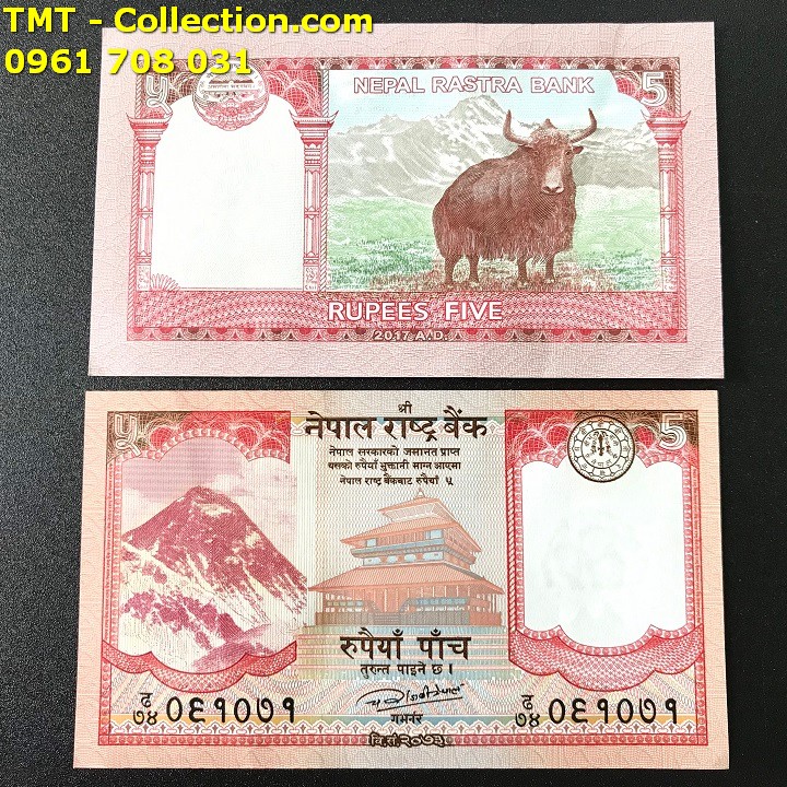 Tiền Con Trâu Nepal - TMT Collection.com