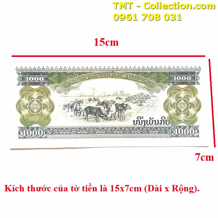 Tiền Con Trâu Lào - TMT Collection.com