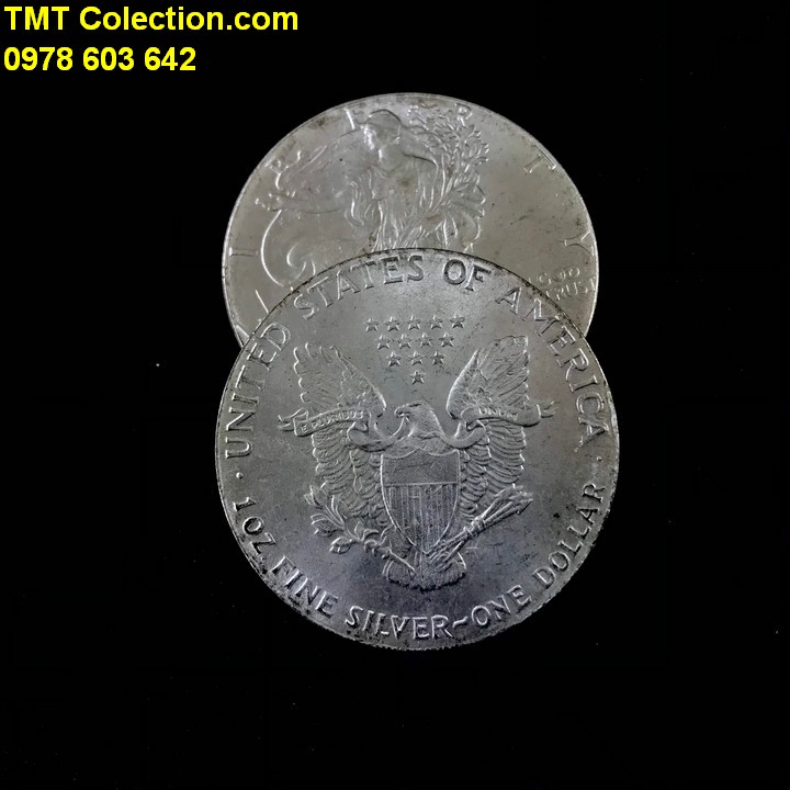 Xu Mỹ - USA 1 Dollar Liberty 1906 FAKE - TMT Collection.com