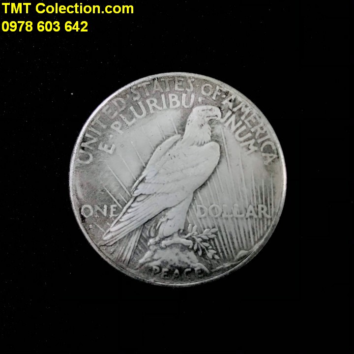 Xu USA - Mỹ 1 Dollar 1922 FAKE - TMT Collection.com