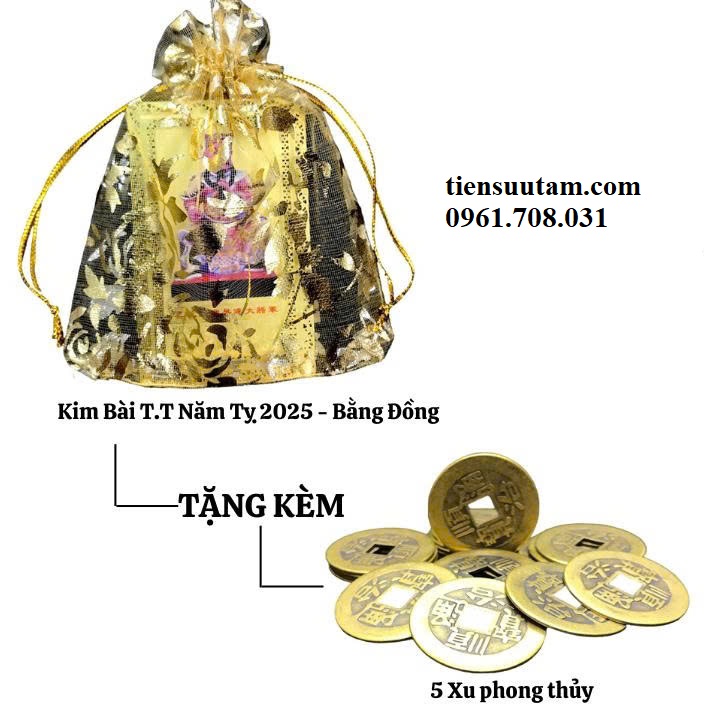 Túi Kim Bài Thái Tuế 2025 Tuổi Tỵ Và Miếng Dán Phật Bản Mệnh