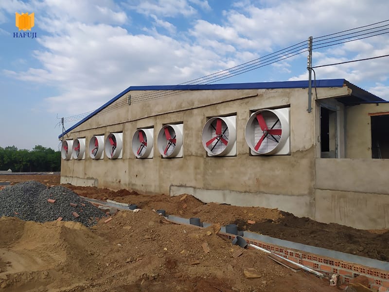 Lắp đặt hệ thống làm mát trại lợn