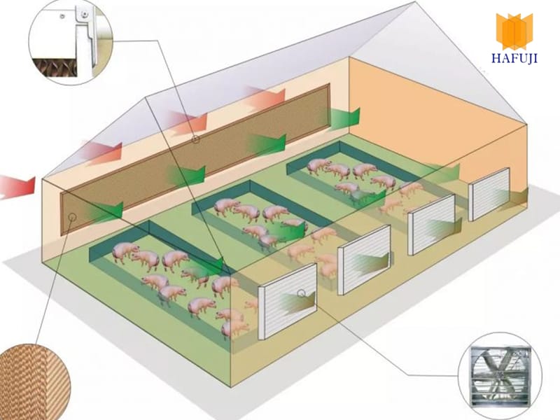 Lưu ý khi lắp đặt đặt hệ thống làm mát trại lợn với tấm cooling pad