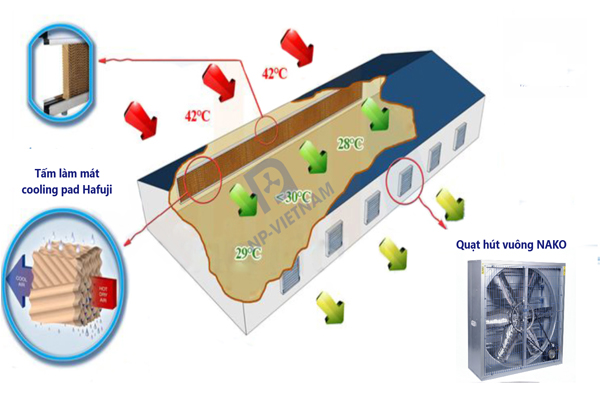 Hệ thống cooling pad