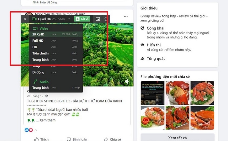 download video facebook