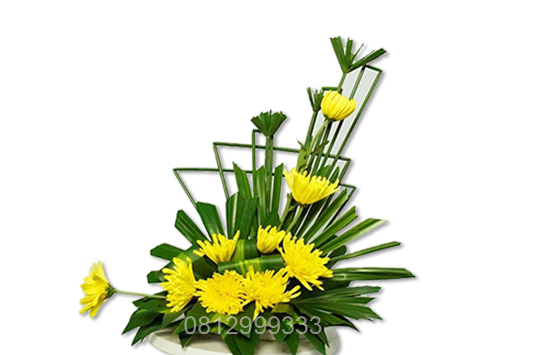 đông bình tây quả