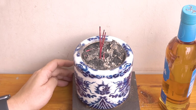 Thời điểm phù hợp nào nên tỉa chân nhang