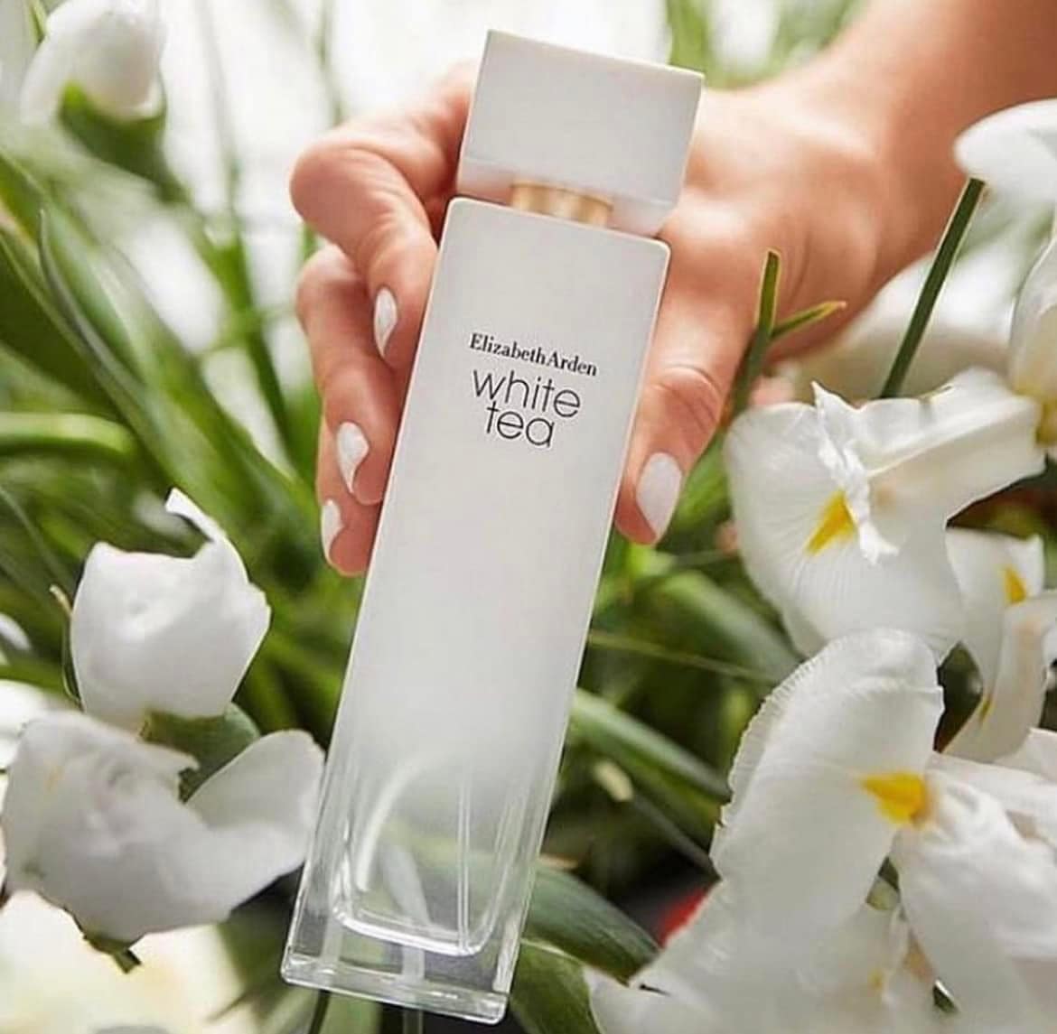 https://myphamkissme.com/nuoc-hoa-elizabeth-arden-white-tea