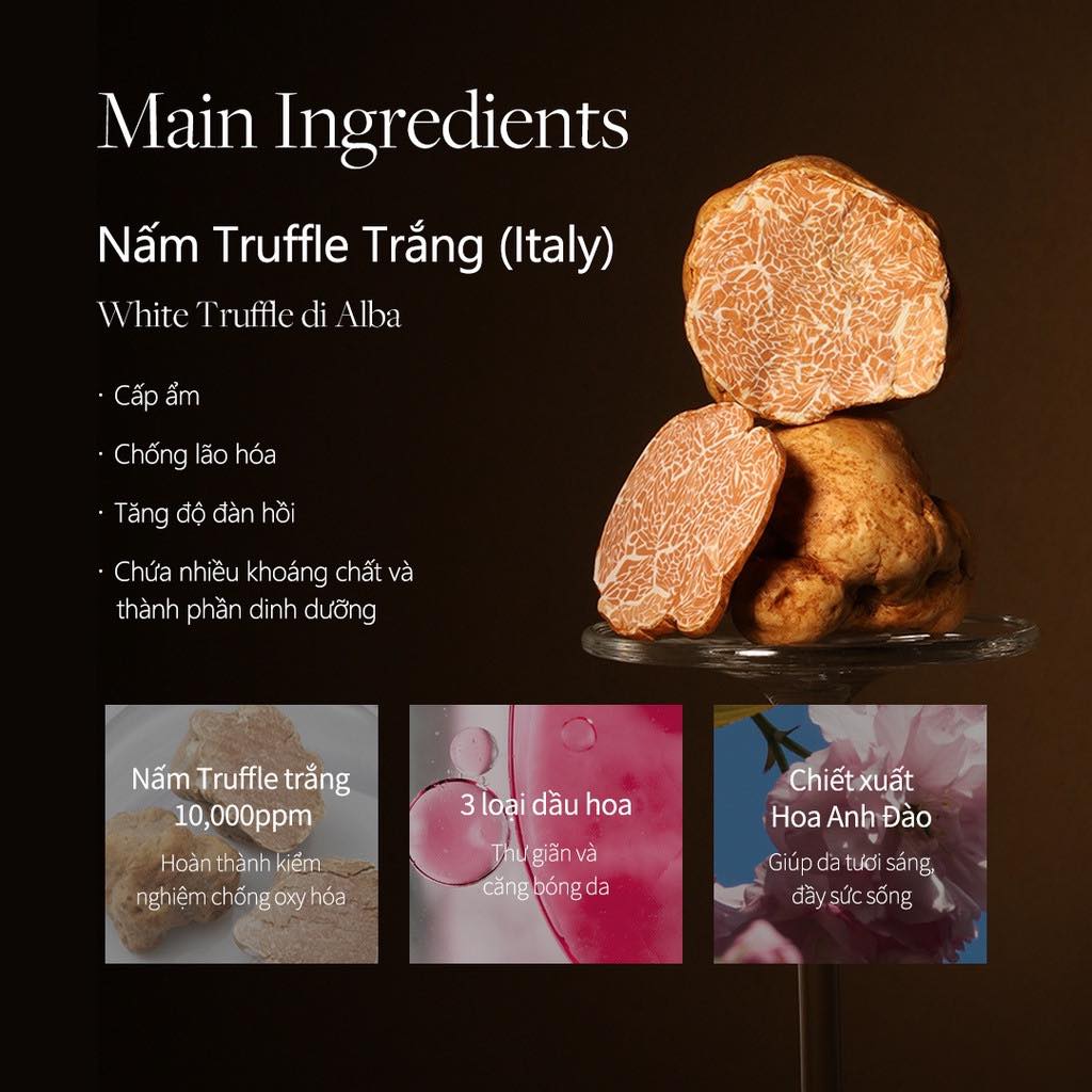 xit-khoang-d'alba-mau-hong-white-truffle