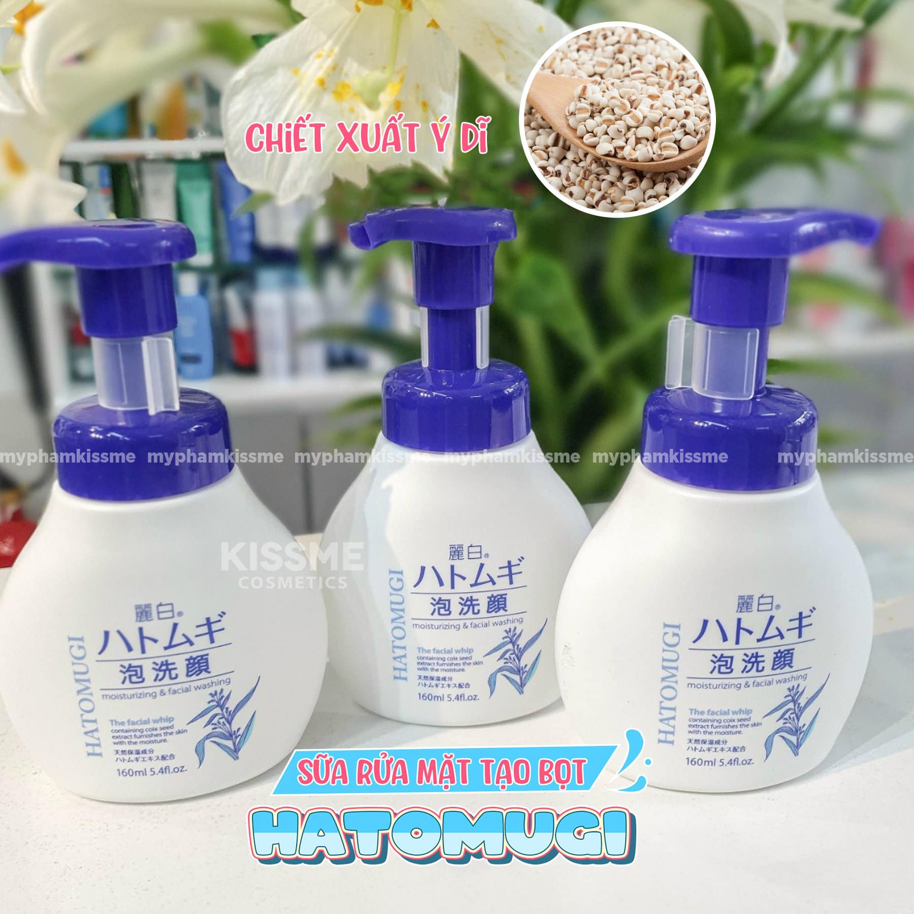 sua-rua-mat-tao-bot-hatomugi-y-di