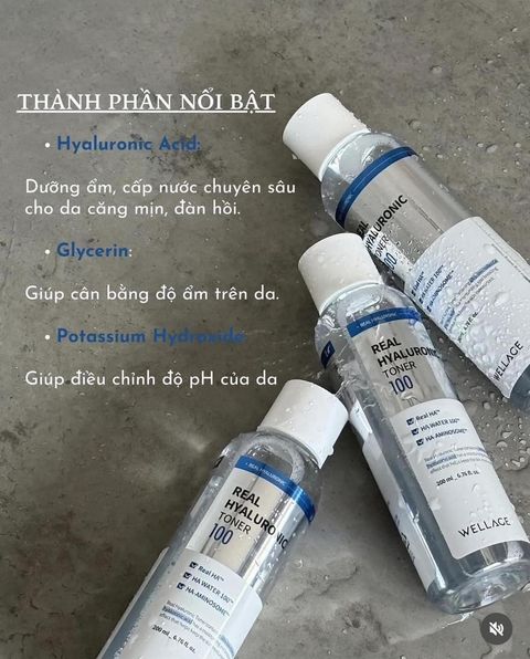 toner-duong-am-wellage-real-hyaluronic