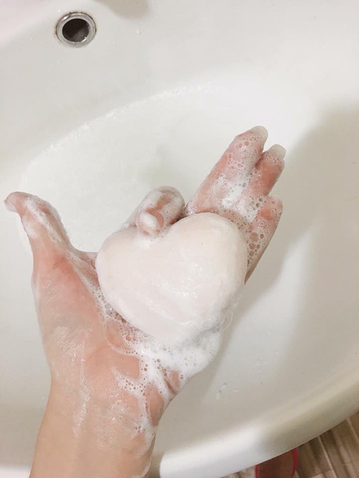 xa-phong-tri-tham-mong-pelican