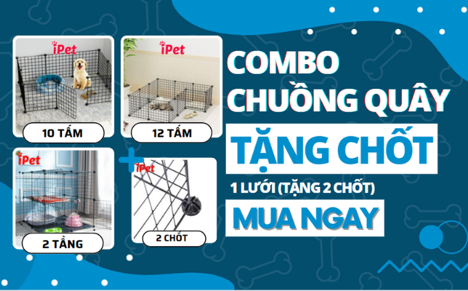 COMBO CHUỒNG