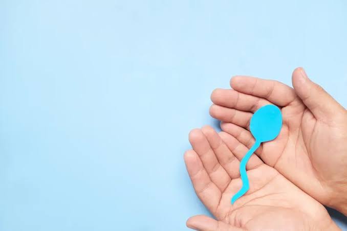 1 Ngày Xuất Tinh 3 Lần Có Sao Không? Giải Đáp Góc Nhìn Y Khoa