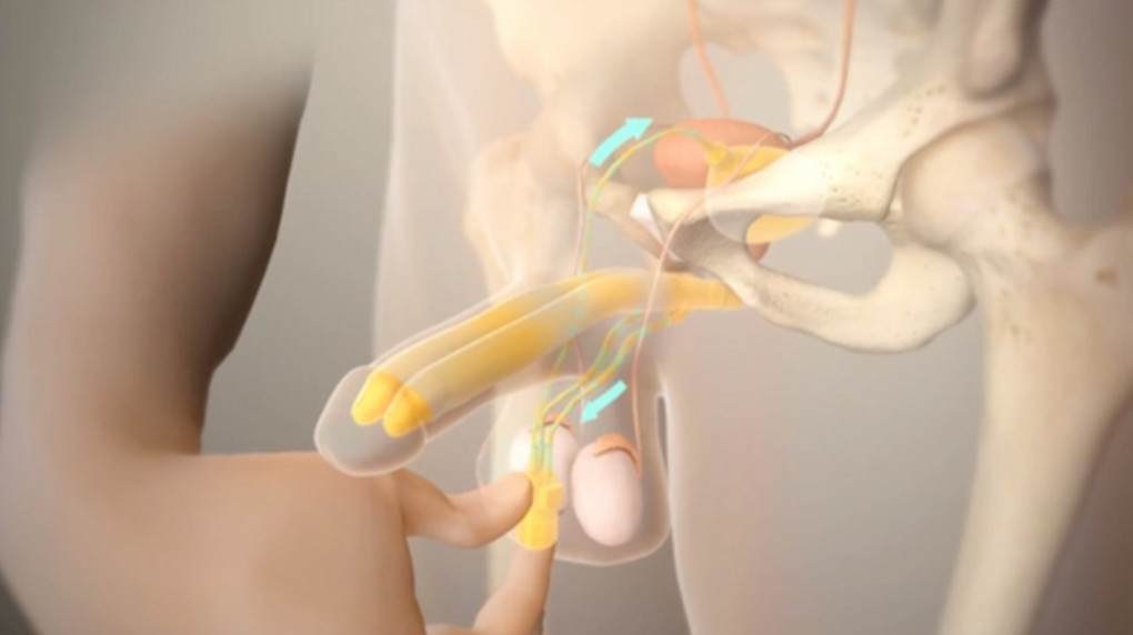 Tìm hiểu bệnh liệt dương: Khái niệm, nguyên nhân và cách phòng ngừa