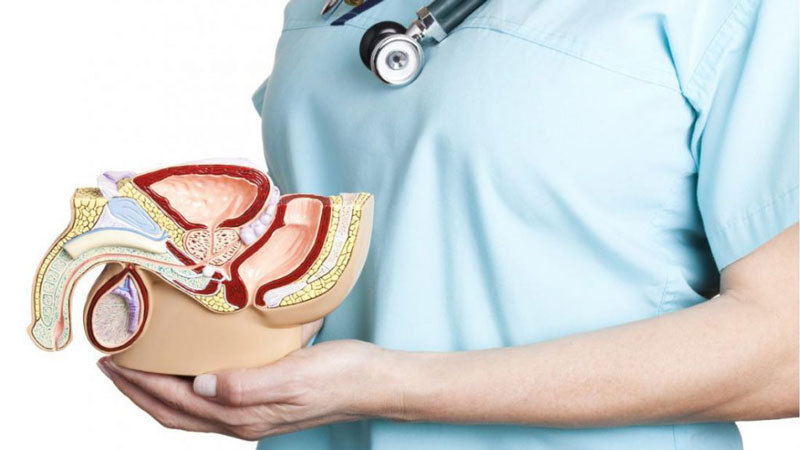 Sự Thật Về Thuốc Tăng Kích Thước Dương Vật: Hiệu Quả Hay Chiêu Trò Quảng Cáo?